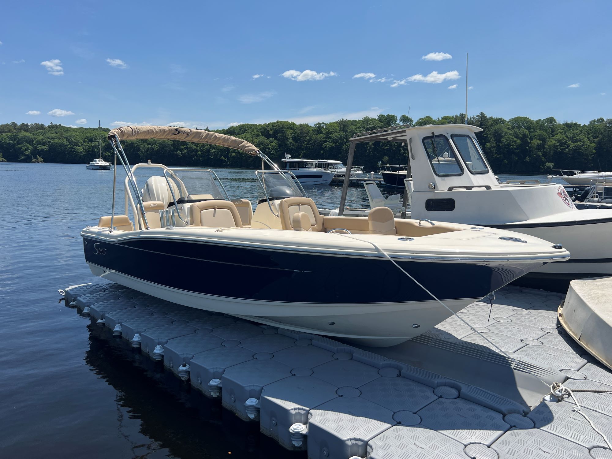 2025 Scout 195 Sport Dorado - Midnight Blue 2025 Scout 195 Sport Dorado - Midnight Blue